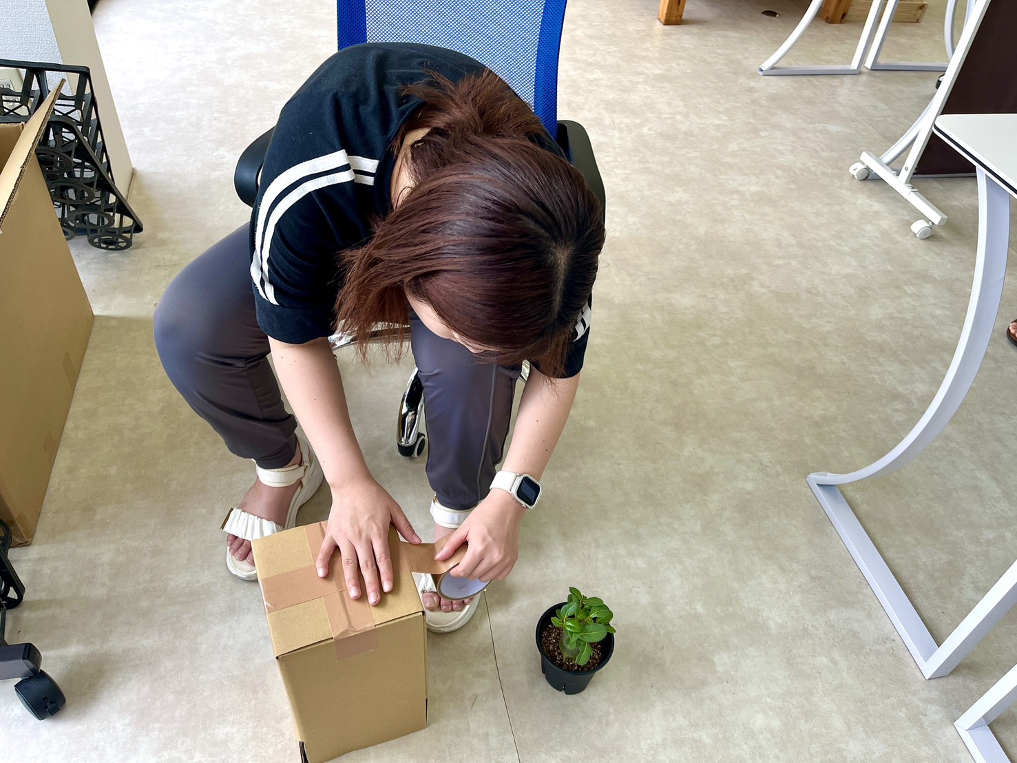 商品の梱包作業の様子